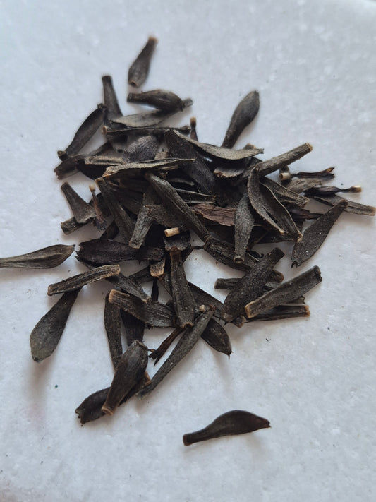 Dahlia Seeds