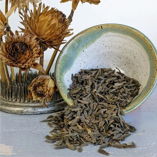 Dahlia Seeds