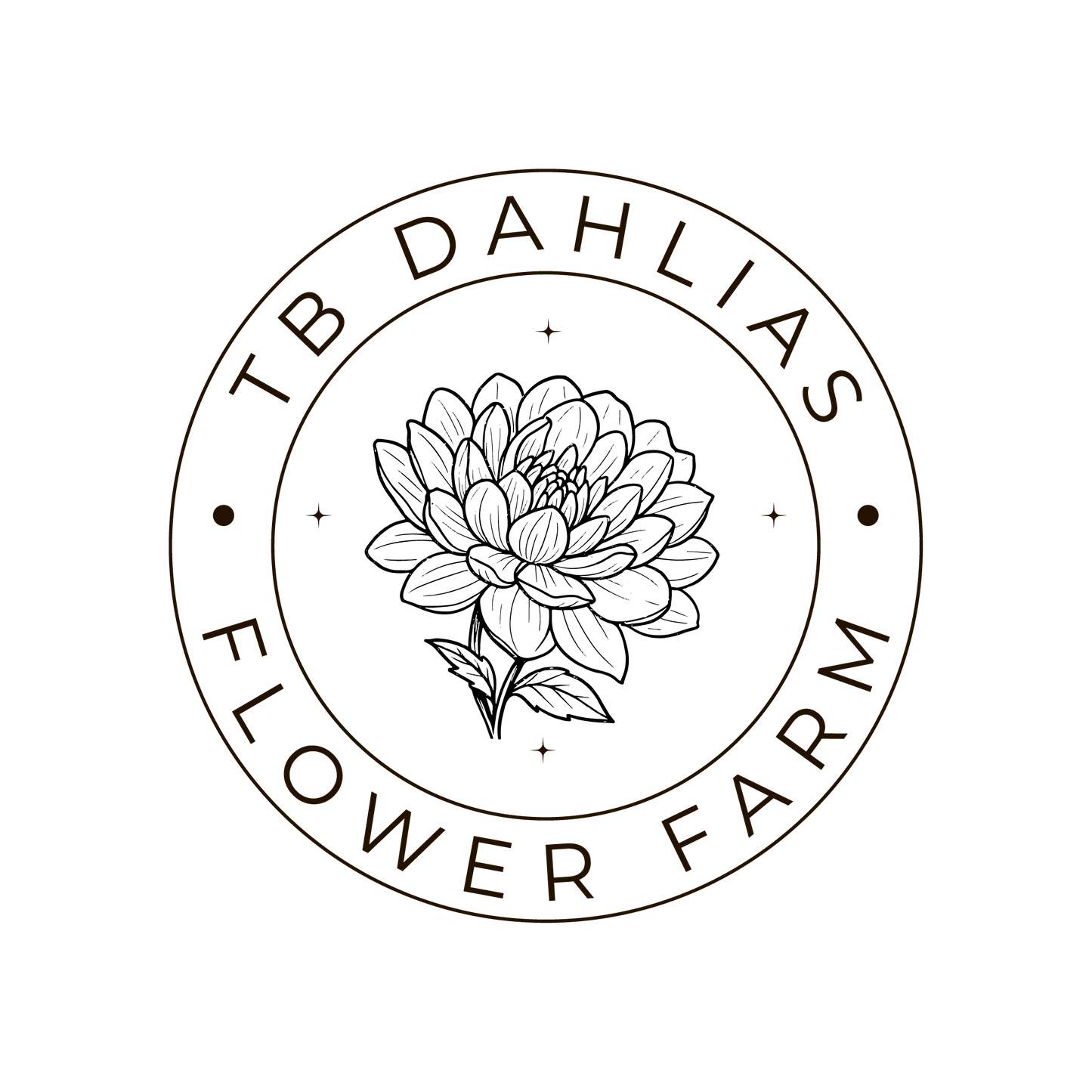 L.A.T.E. Decorative Dahlia